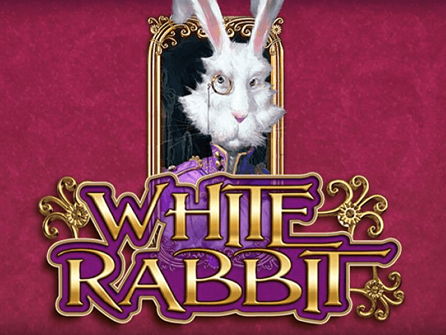 White Rabbit za darmo